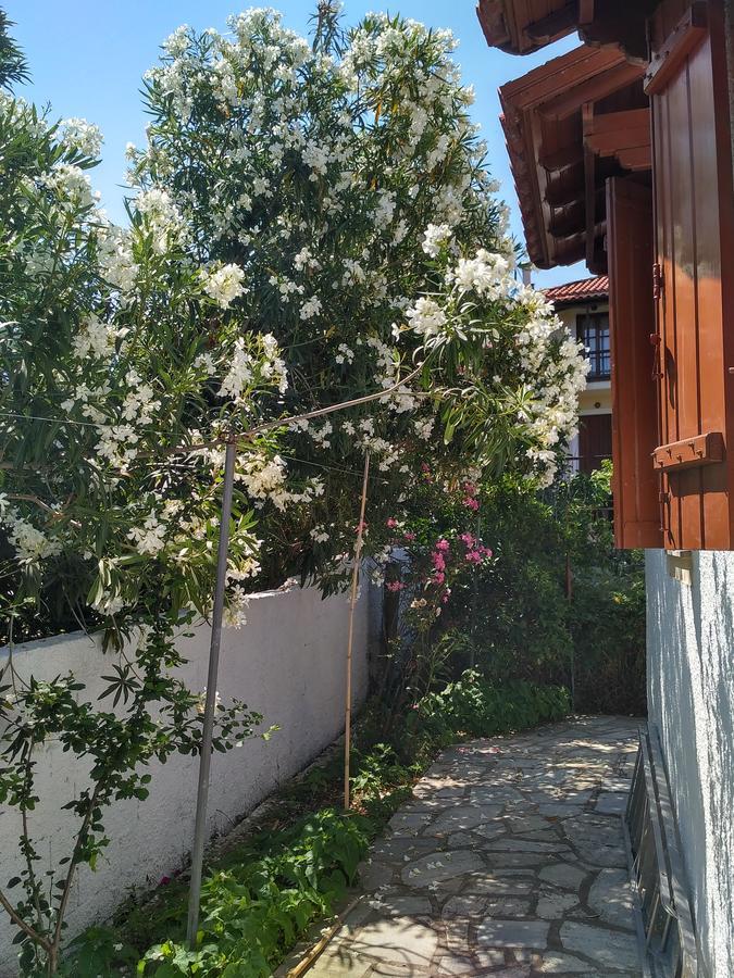 Hotel Kyriaki Skopelos Exterior foto
